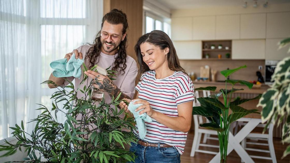 «Парень за 5 дней превращает свою квартиру в свинарник, а убирать должны мы вместе в выходные!» (Психология) «Парень за 5 дней превращает свою квартиру в свинарник, а убирать должны мы вместе в выходные!» (Психология)