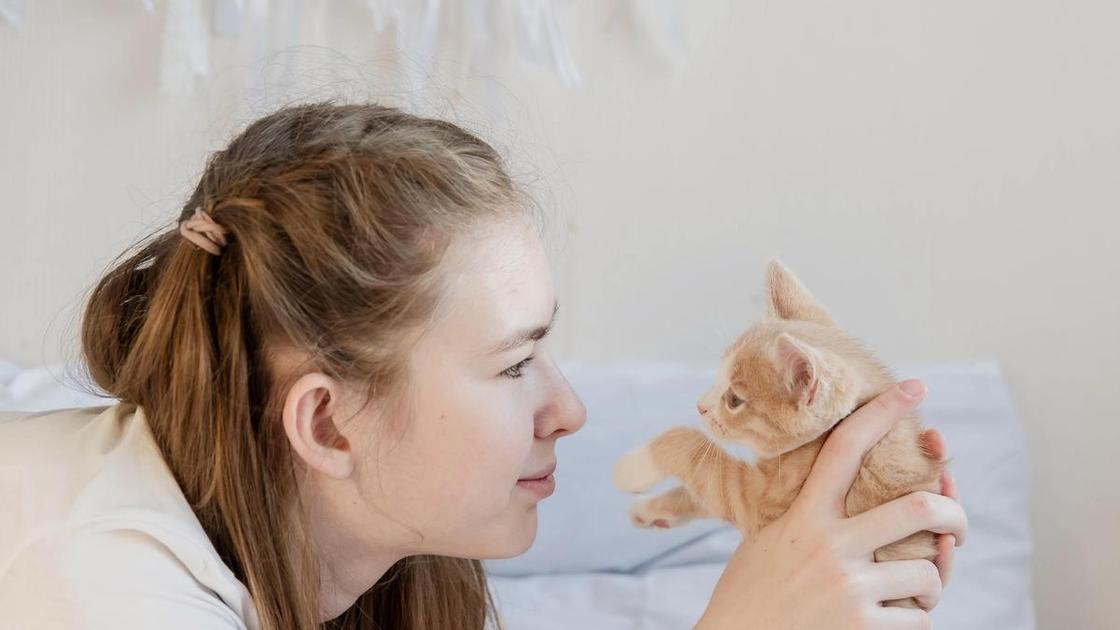 «Если я убью котят, то у меня исчезнут все проблемы. Эта мысль не дает мне покоя» (Психология) «Если я убью котят, то у меня исчезнут все проблемы. Эта мысль не дает мне покоя» (Психология)