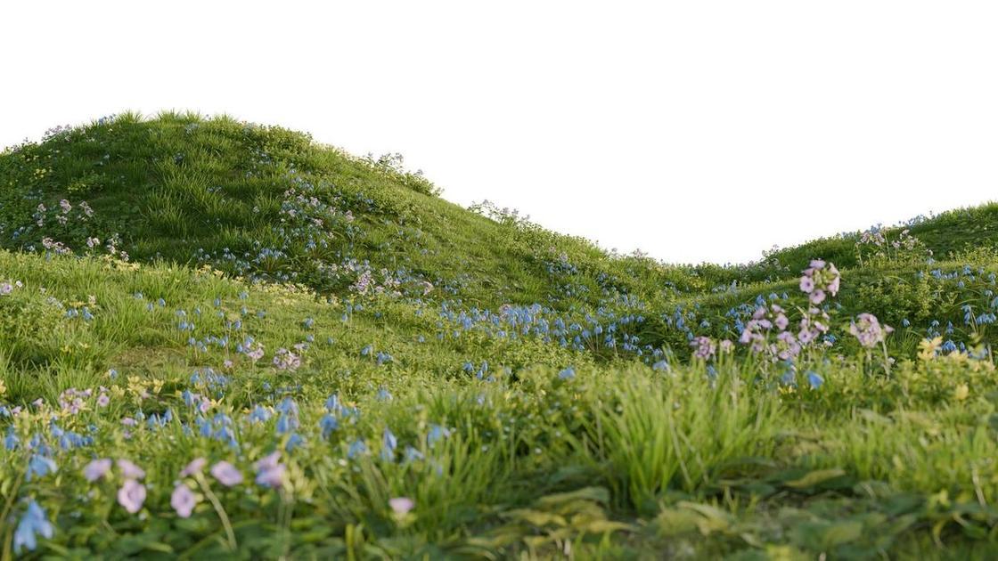 Тест: Какой вы луговой цветок — люпин, ромашка или ковыль? (Психология) Тест: Какой вы луговой цветок — люпин, ромашка или ковыль? (Психология)