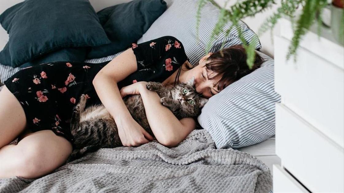 &laquo;Боюсь, что, когда мой любимый кот умрет, я начну разрушать собственную жизнь&raquo;  (Психология)