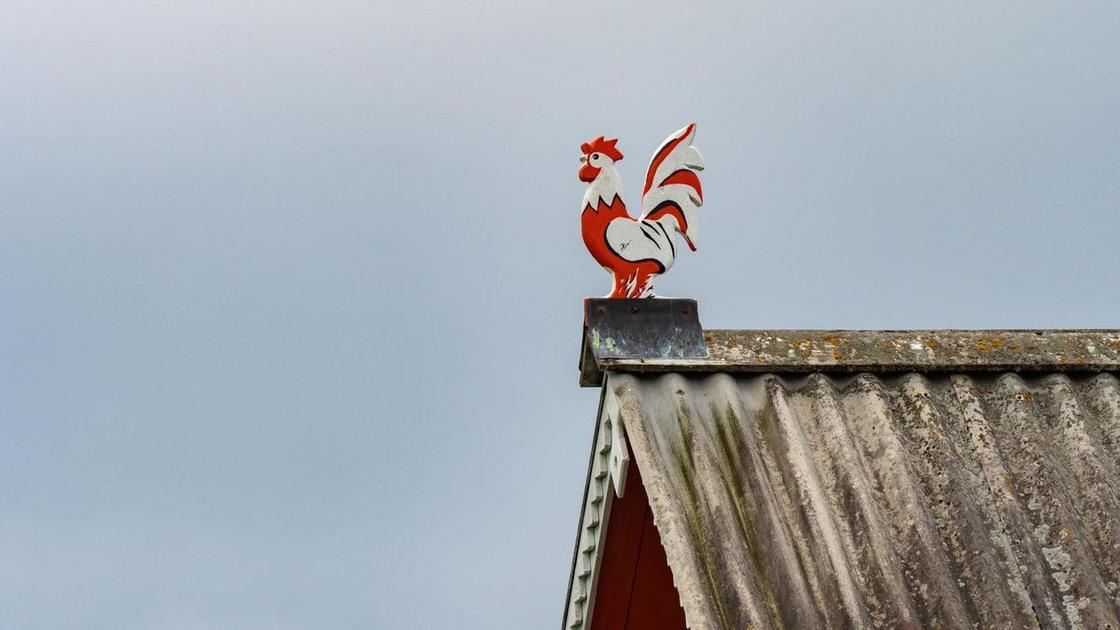 Что значит выражение «до третьих петухов»: психологический смысл и примеры из жизни (Психология) Что значит выражение «до третьих петухов»: психологический смысл и примеры из жизни (Психология)