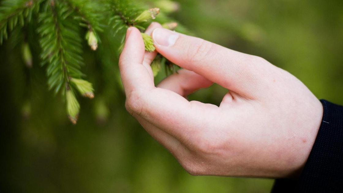 Тест: Сенситивный ли вы человек?  (Психология)