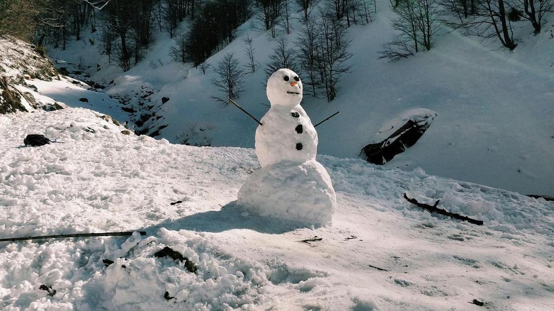 Тест: Каков ваш снеговик идентичности?  (Психология)