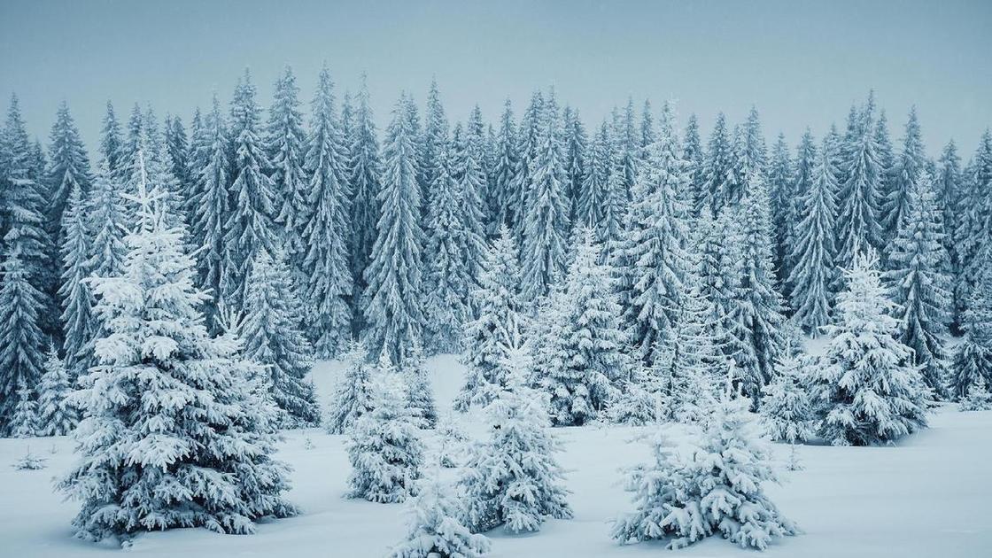 17 лучших тестов Psychologies за декабрь: подборка, которая поможет пережить неделю после праздников  (Психология)