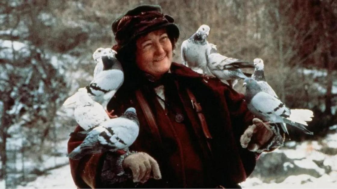 «Забравшись высоко, люди не смотрят вниз под ноги»: как помощь бездомным спасает от одиночества (Психология) «Забравшись высоко, люди не смотрят вниз под ноги»: как помощь бездомным спасает от одиночества (Психология)