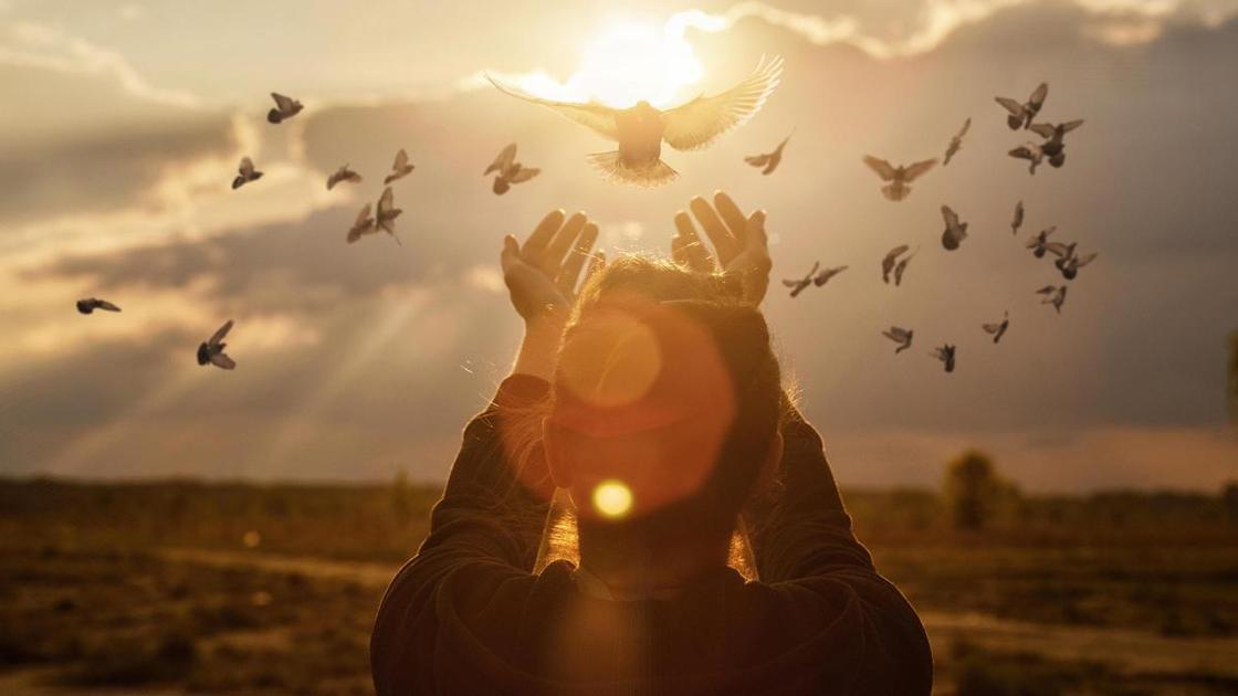 Прощеное воскресенье: мнения читателей о традиции прощения  (Психология)