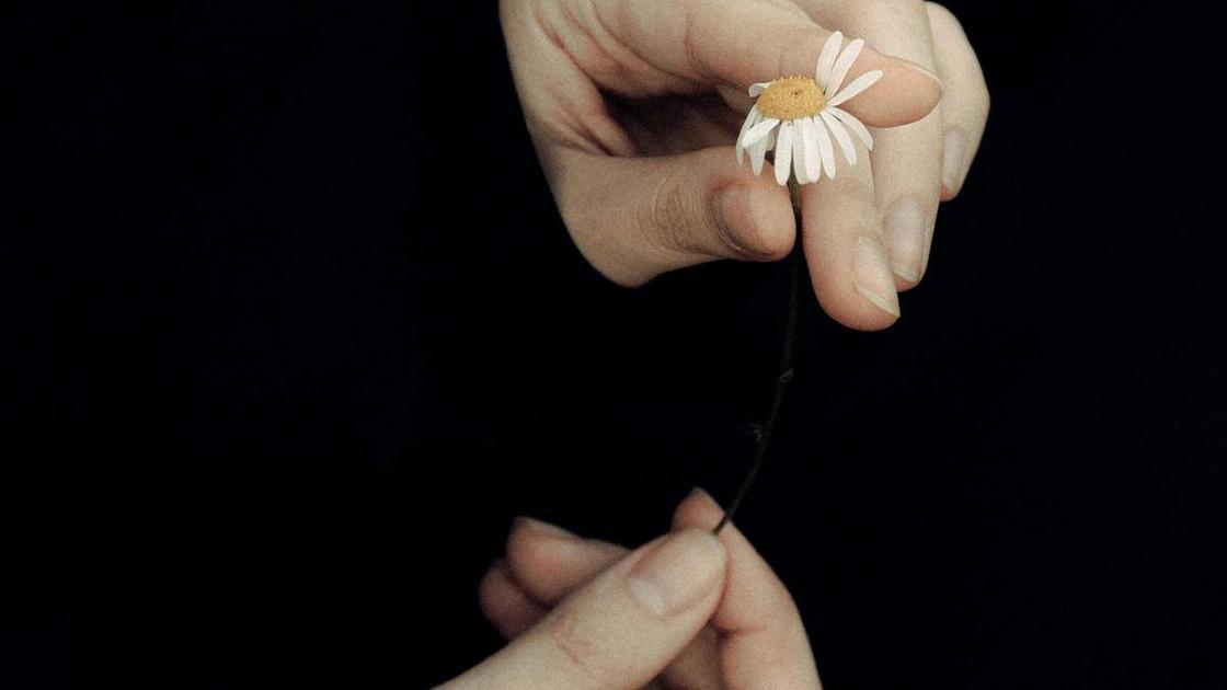 Пройдите тест на сообразительность: найдите слова в буквенной ромашке (Психология) Пройдите тест на сообразительность: найдите слова в буквенной ромашке (Психология)