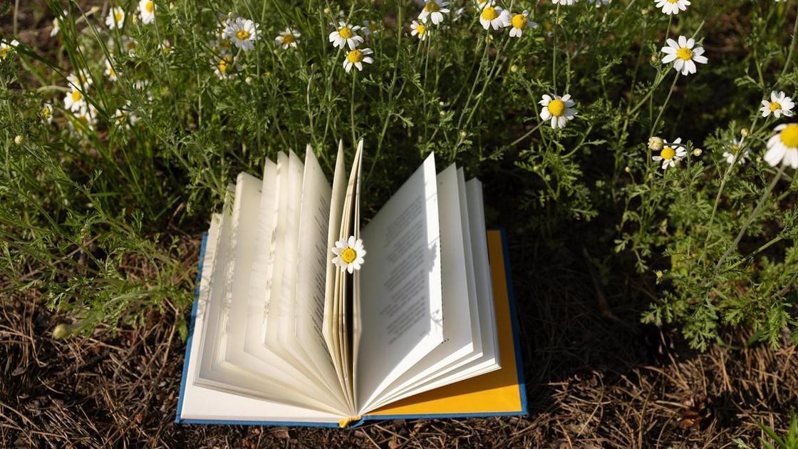 Тест на вербальную беглость: сколько слов вы сможете найти за 60 секунд?  (Психология)